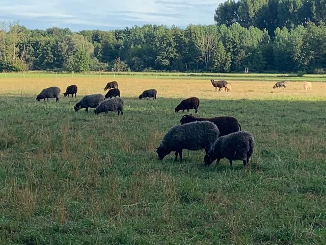 Zwischen A 65 und Herxheim | Foto: Franz-Walter Mappes