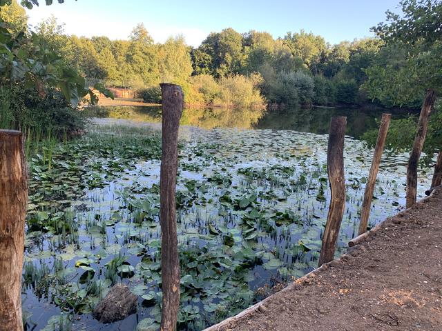 Die Kunst des Pfahlbaus | Foto: Franz Walter Mappes