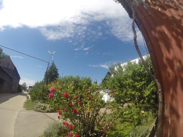 Immer dabei: Aufnahme mit der Go-Pro | Foto: Franz-Walter Mappes