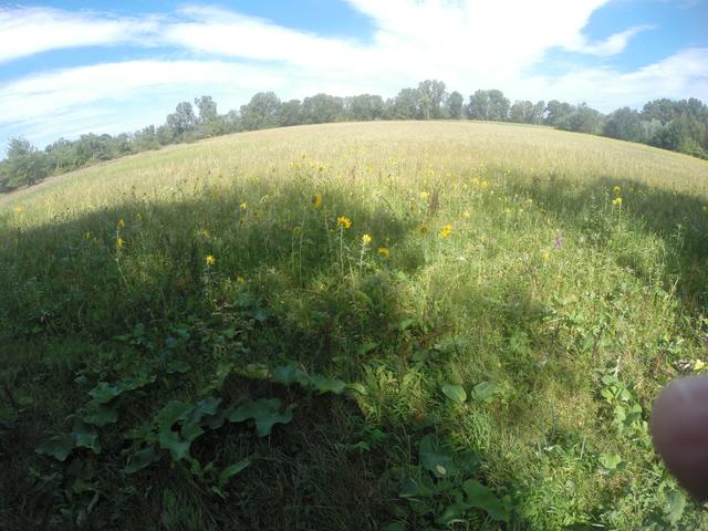 Unterwegs in der Südpfalz | Foto: Franz-Walter Mappes