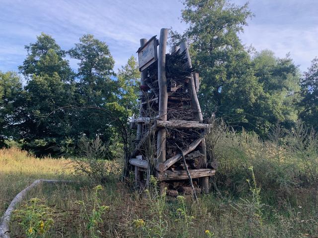 Renaturierung vor Herxheim | Foto: Franz-Walter Mappes