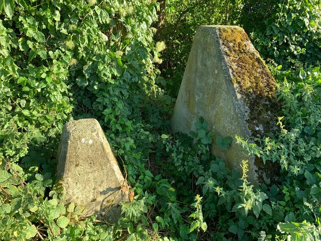 Zeugen einer kriegerischen Vergangenheit: Panzersperre auf der Strecke zwischen Herxheim und Insheim | Foto: Franz Walter Mappes