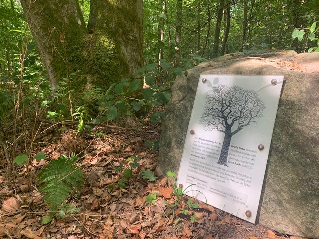 Im Wald von Herxheimweyher | Foto: Franz-Walter Mappes
