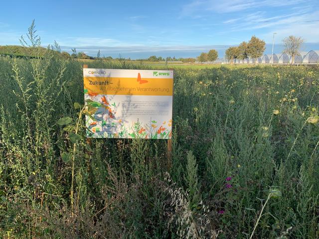 Eine etwas andere Perspektive: An der Landstraße zwischen Herxheim und Herxheimweyher | Foto: Franz-Walter Mappes