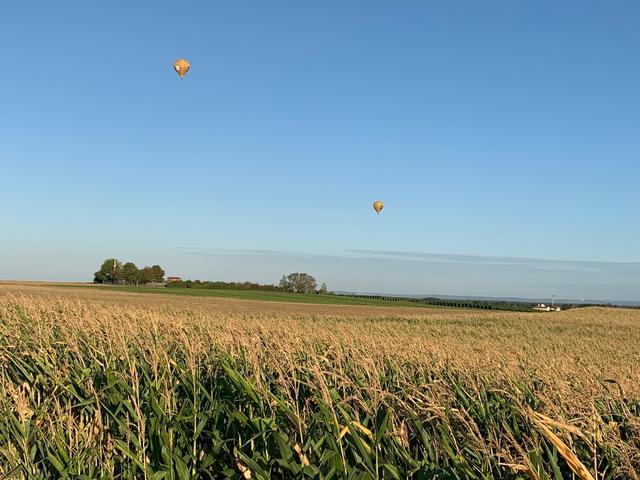 Die Landschaft entlang des "Panoramaweges": Ganz hinten beginnt der Schwarzwald | Foto: Franz Walter Mappes