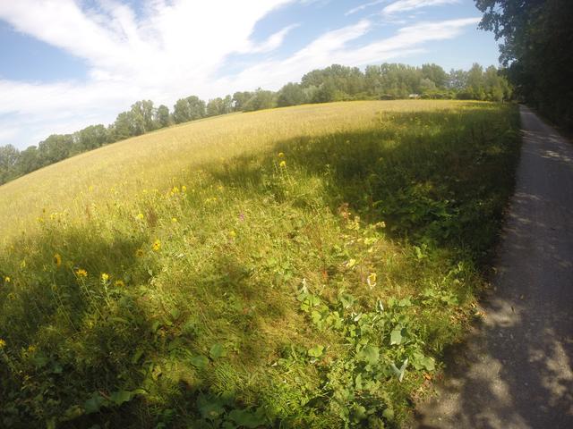 Am Wegesrand | Foto: Franz-Walter Mappes