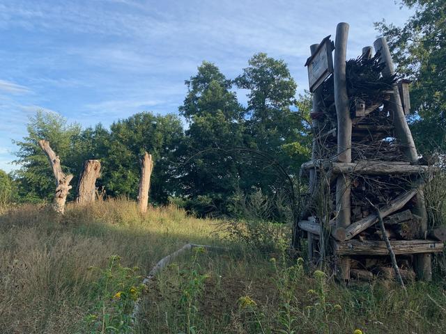 Zurück zur Natur | Foto: Franz-Walter Mappes