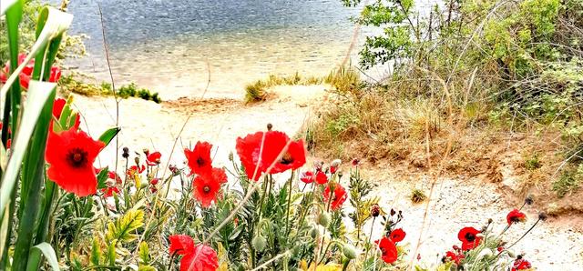 Foto: Nanna Herbst
