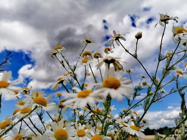 Foto: Nanna Herbst