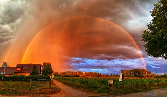 Milchbauer Bellaire im Sommerregen (18.08.2020). | Foto: Jessica Dilger