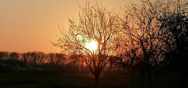 Foto: Nanna Herbst