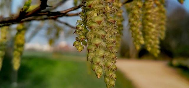 Foto: Nanna Herbst