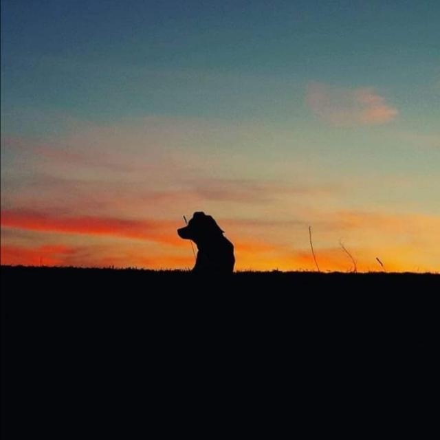 Foto: Nanna Herbst