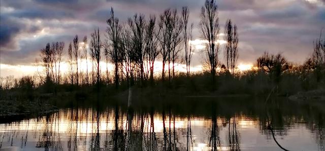 Foto: Nanna Herbst