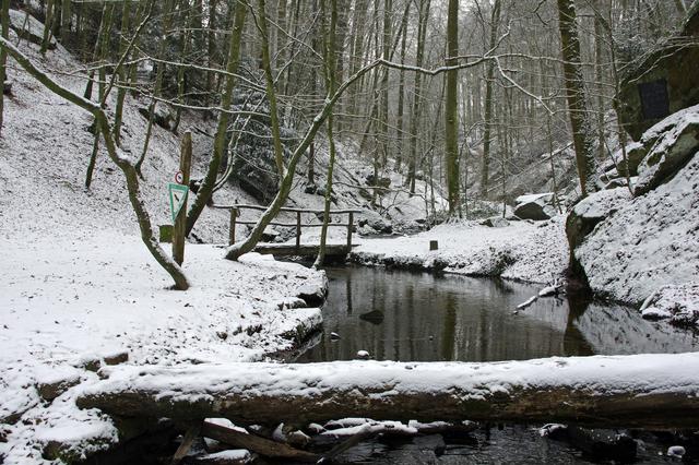 Karlstalschlucht, Jan. 19 | Foto: Ilona Schäfer