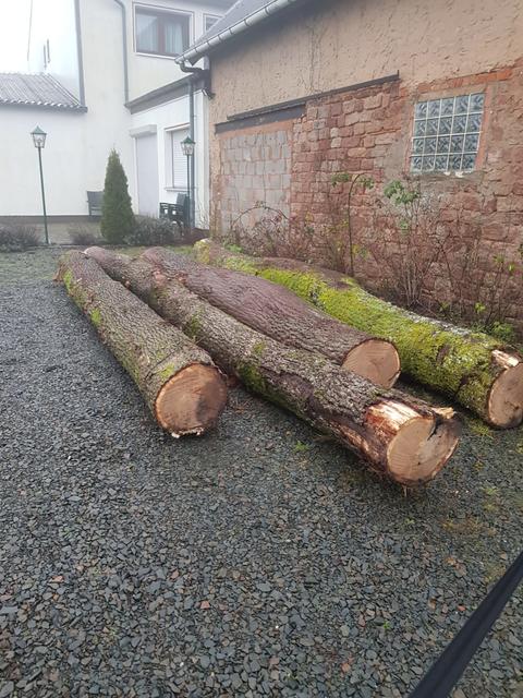 Mit diesen Eichenstämmen fing die Bank-Bau-Aktion im Januar 2020 an | Foto: Privat