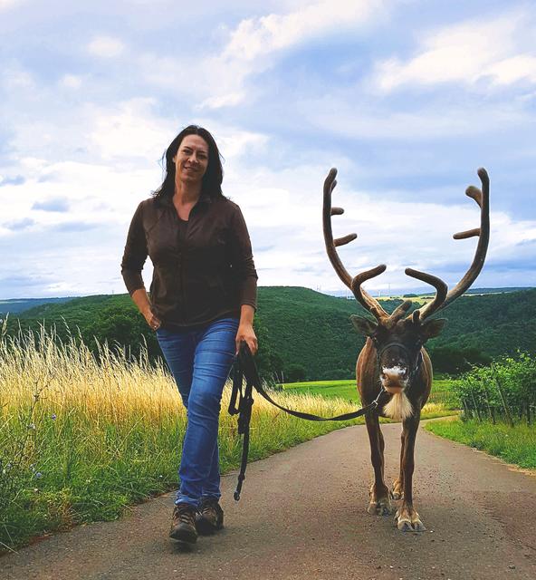 Mit dem "eigenen" Rentier durch die wunderschöne Landschaft im Nahetal wandern: Die Rentieralm Niederhausen ist ein Ausflugstipp für Kinder und Erwachsene.  | Foto: soonteam