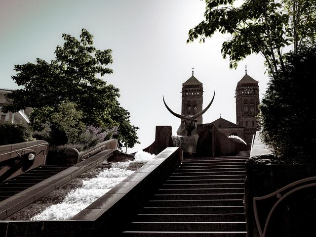 Stier am Schlossbrunnen in Pirmasens
