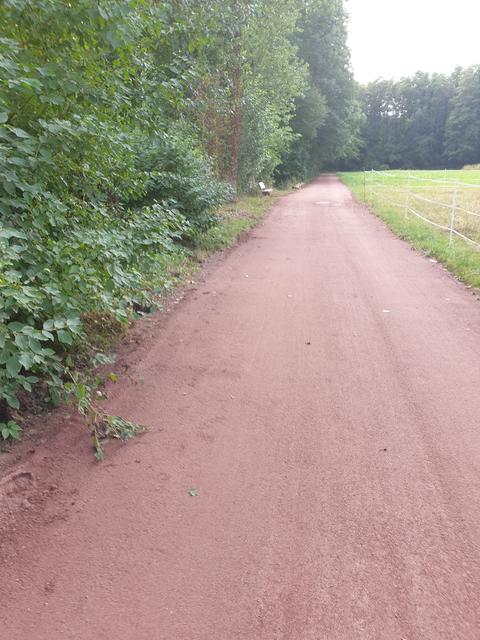 Breiter und mit einer wassergebundenen Deckschicht: So bietet der frisch sanierte Abschnitt des Queichtalradwegs jetzt genug Platz für Fußgängerinnen und Fußgänger sowie den Radverkehr.