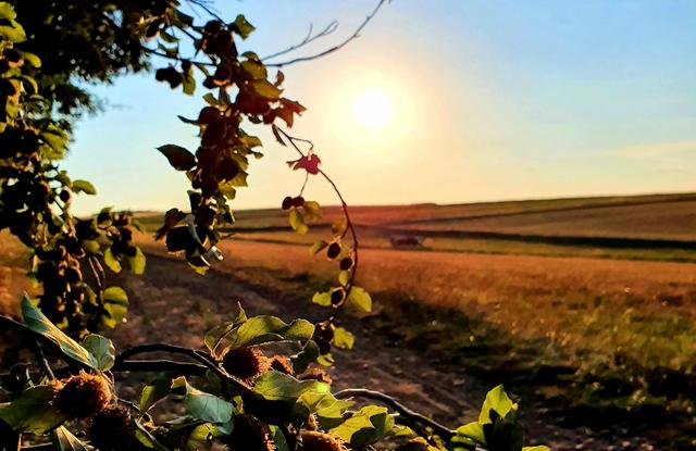 Herbstwinde wehen im September