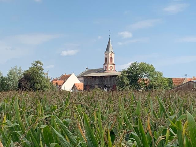 Neupotz vom Radweg aus betrachtet. | Foto: Franz Walter Mappes