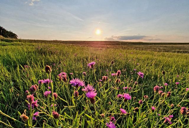 Frühlingsgefühle im Mai! | Foto: Aileen Schneider
