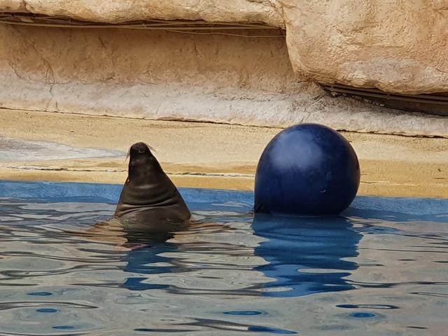 Hitzeentspannung im Heidelberger Zoo