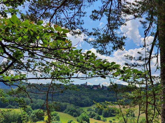 Blick auf Dahner Burgen im Pfälzer Wald