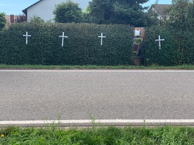 Kein guter Platz für Katzen.Am Ortseingang von Hatzenbühl hat so manches Tier sein Leben lassen müssen. Fahrt langsamer und seid achtsam! | Foto: Franz Walter Mappes