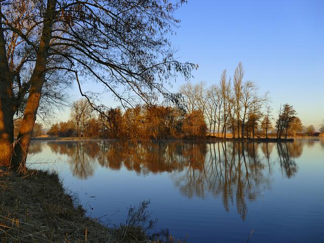 Bild 2, Februar
Am Niederwiesenweiher, Iggelheim. Schöner ruhiger Beginn des Tages und wunderbares Wetter!