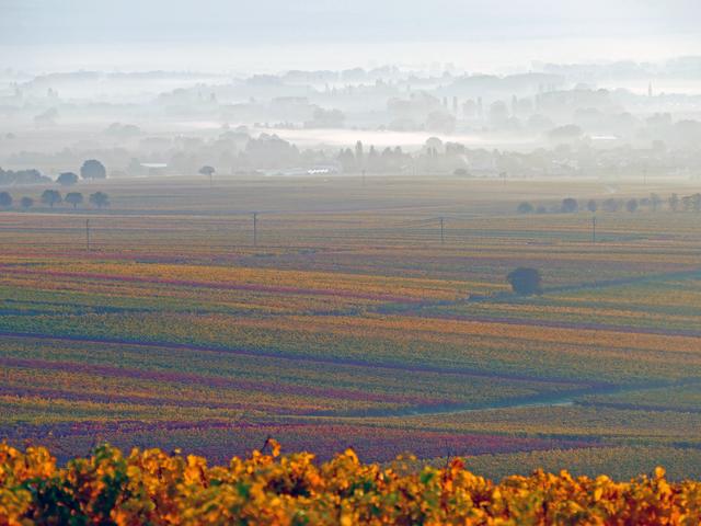 Bild 11, November
Rebenmeer im morgendlichen Novembernebel. Blick vom kleinen Kapellchen in Weyher hinunter ins Tal...
