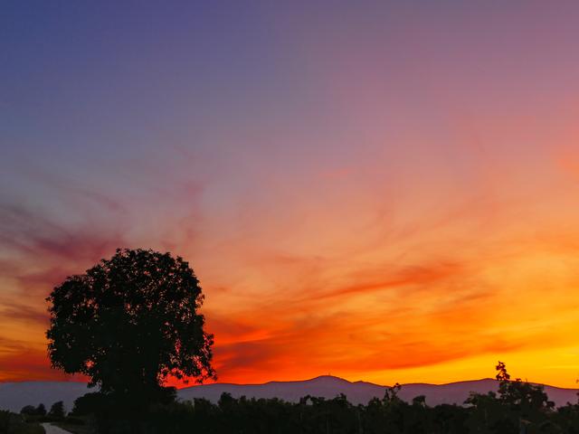 Bild 8, August
Wunderschöne Farben am Himmel nach Sonnenuntergang im Feld bei Geinsheim. Der Blick geht in Richtung Haardtgebirge.