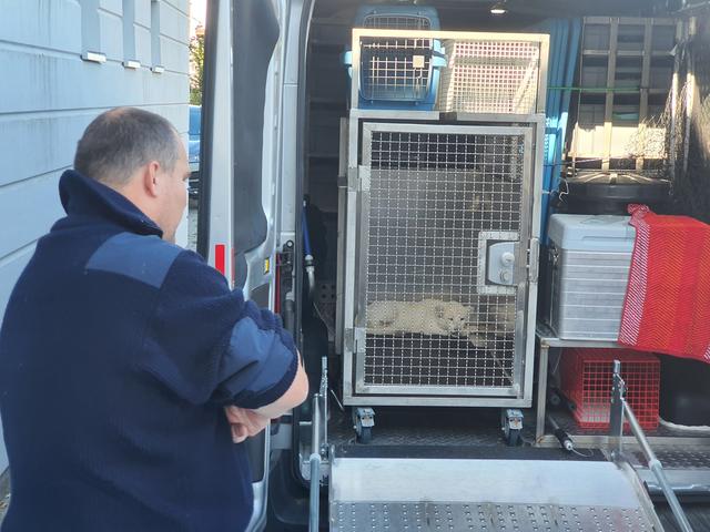 Ankunft | Foto: Reptilium Landau