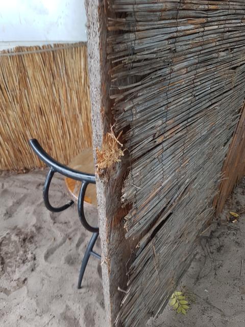 Die Tür wurde gewaltsam aufgebrochen