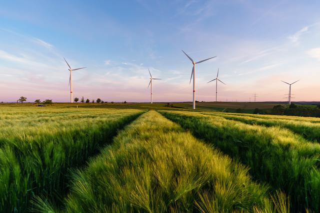 Windräder auf der Sickinger Höhe im abendlichen Frühlingslicht im Mai.