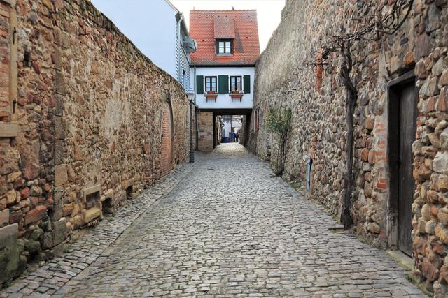 Freinsheim - Alte Stadtmauer  | Foto: Urheber Maike Müller