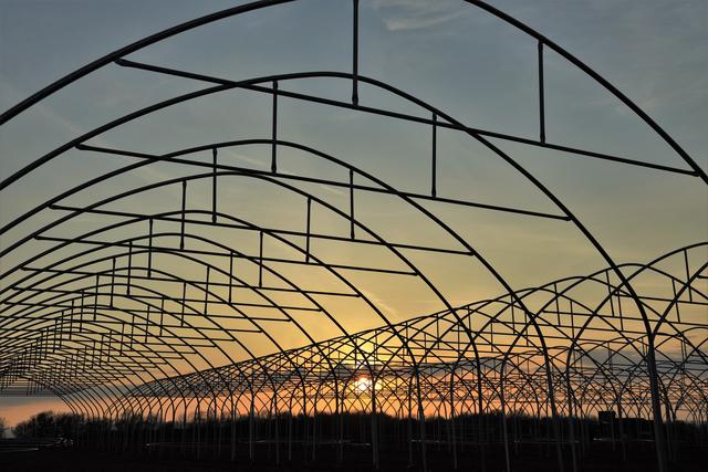 Aufbau von Wandertunnels in Mutterstadt   | Foto: Urheber Maike Müller