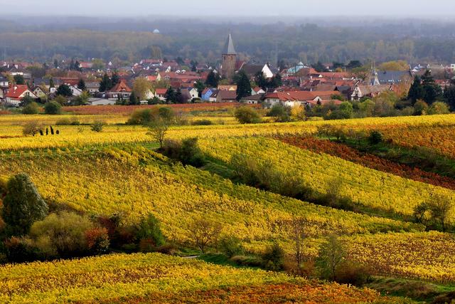 Mußbach im Herbst | Foto: Horst-Werner Kasch