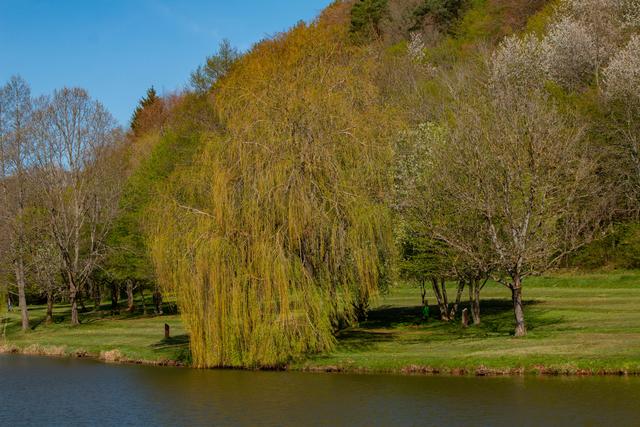 Silzer See April 2020