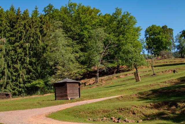 Wildpark Silz Juni 2020 