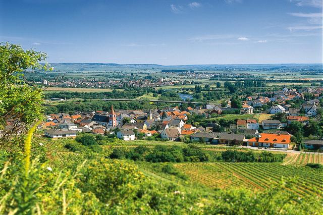Blick auf Münster-Sarmsheim auf der Rhein-Nahe-Schleife | Foto: soonteam