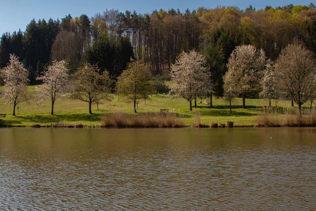 Silzer See April 2020