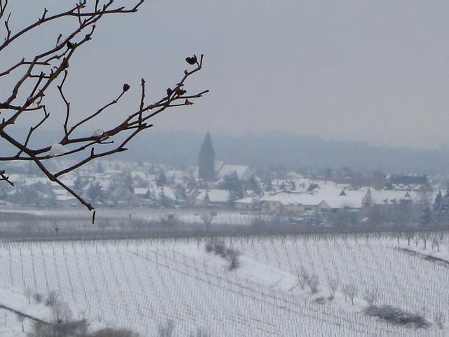 Erster Schnee - Mußbach | Foto: Horst-Werner Kasch