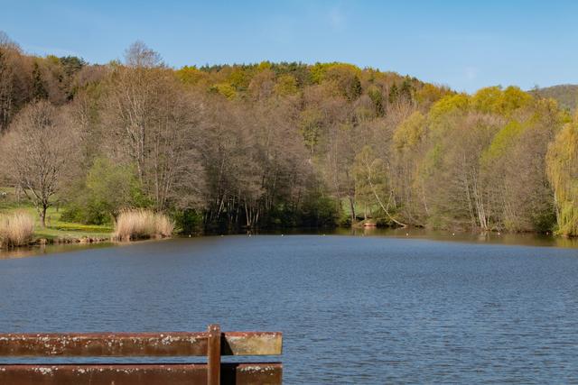 Silzer See April 2020 