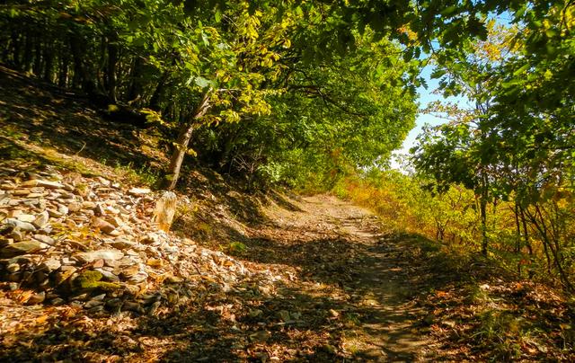 Die Rhein-Nahe-Schleife besticht durch schöne Wanderwege | Foto: soonteam