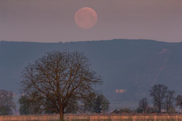 Supermond über der Villa Ludwigshöhe - Edenkoben | Foto: privat/Georg Beck
