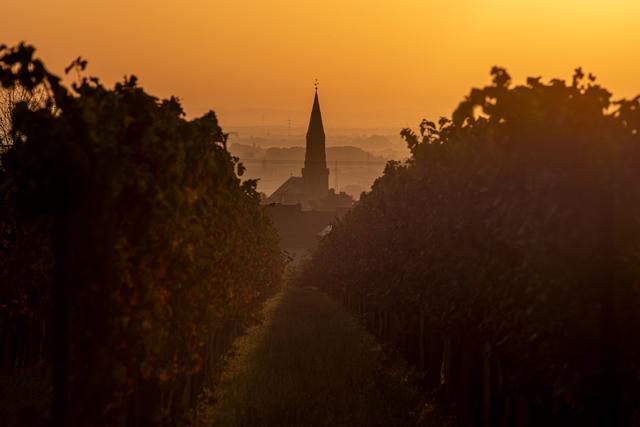Sonnenaufgang über Edenkoben  | Foto: privat/Georg Beck