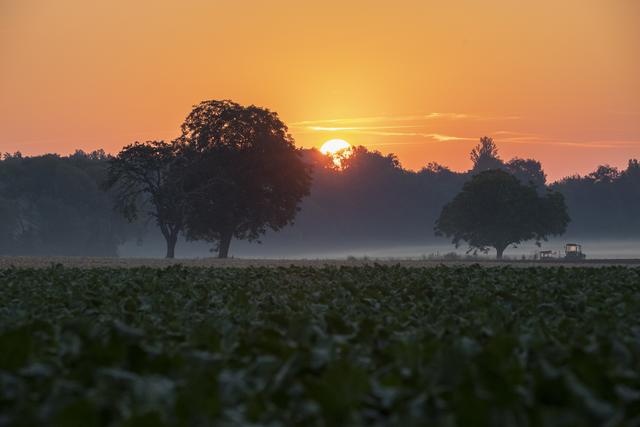Morgenstimmung im Gäu bei Böbingen | Foto: privat/Georg Beck