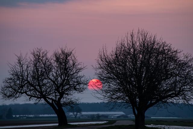 Sonnenaufgang bei Böbingen | Foto: privat/Georg Beck