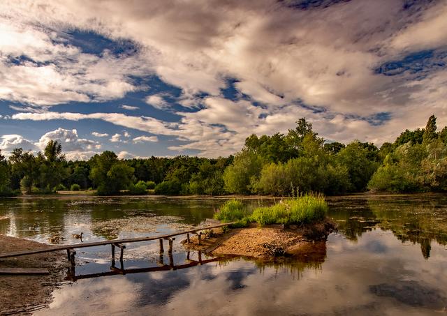 Juli 1: Angelweiher zwischen Offenbach/Queich und Ottersheim | Foto: Hans Werner Merzhäuser